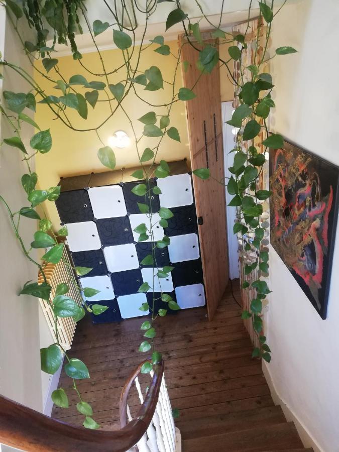 La Chambre D'Hote De Chris Cherbourg-en-Cotentin Esterno foto